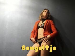 Bengeltje
