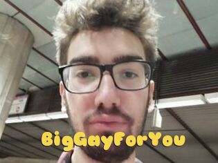 BigGayForYou