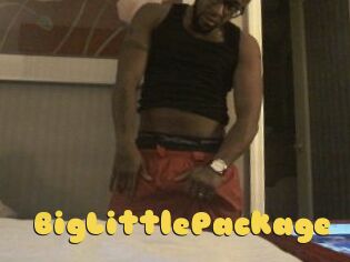 BigLittlePackage