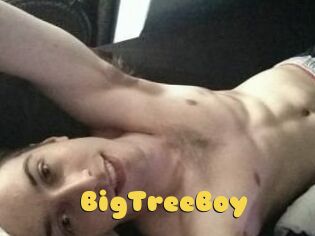 BigTreeBoy