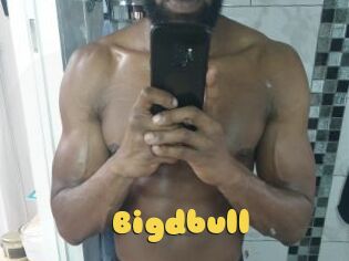 Bigdbull