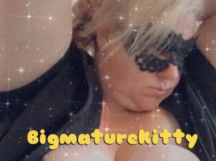 Bigmaturekitty