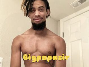 Bigpapasir