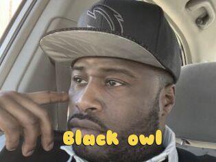 Black_owl