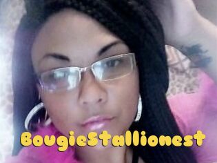 BougieStallionest