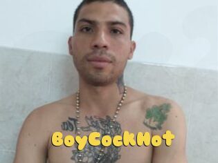 BoyCockHot
