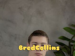 BredCollins