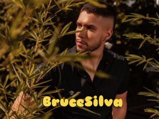 BruceSilva
