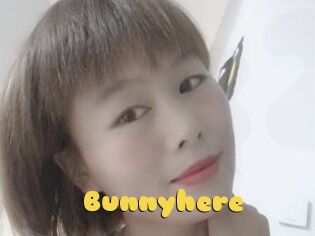 Bunnyhere