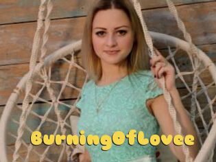 BurningOfLovee