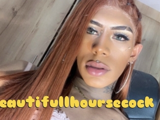 Beautifullhoursecock
