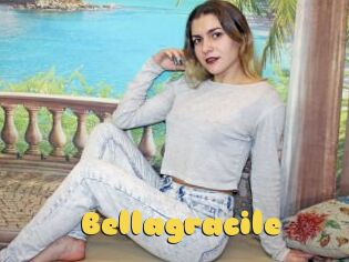 Bellagracile