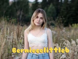 Berniecelittleb