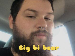 Big_bi_bear