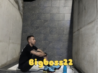 Bigboss22