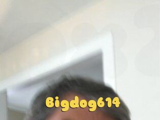 Bigdog614