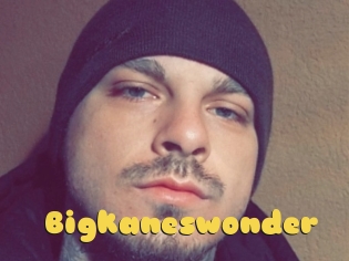 Bigkaneswonder