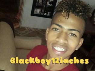 Blackboy12inches