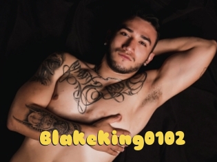 Blakeking0102