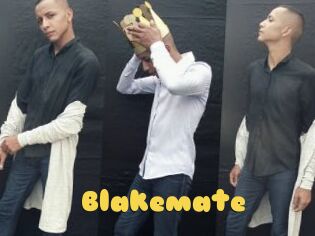 Blakemate