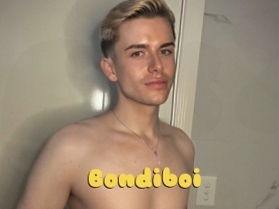 Bondiboi
