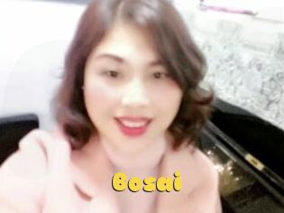 Bosai