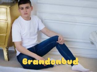 Brandonbud