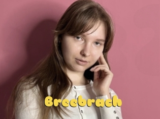 Breebrach