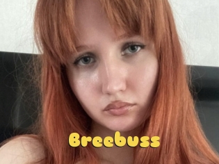 Breebuss