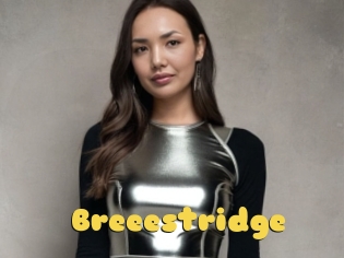 Breeestridge