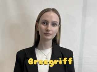 Breegriff