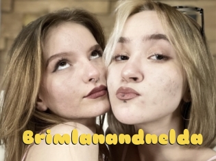 Brimlanandnelda