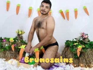 Brunosains