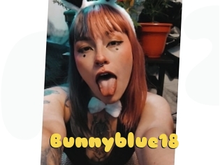 Bunnyblue18