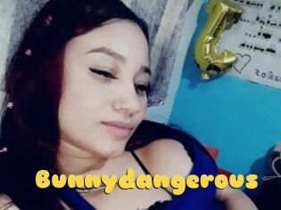 Bunnydangerous