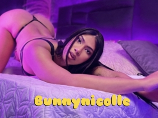 bunnynicolle Px24 Sexcam