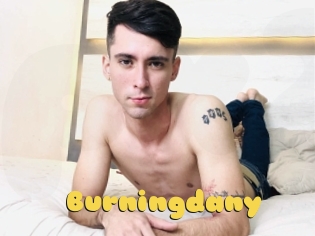 Burningdany