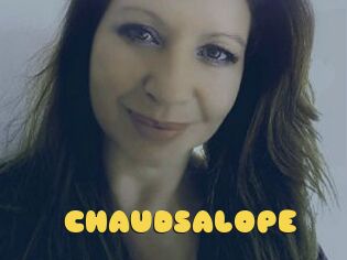CHAUDSALOPE