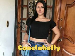 Canelaholly