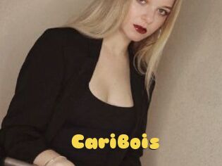 CariBois