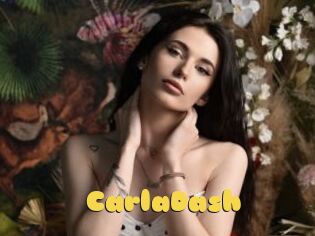 CarlaDash