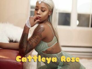 Cattleya_Rose