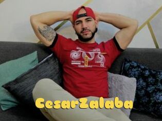 CesarZalaba