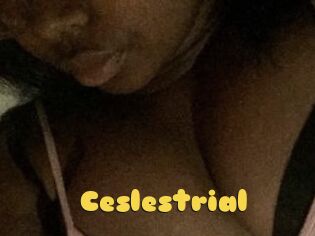 Ceslestrial