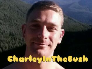 CharleyInTheBush