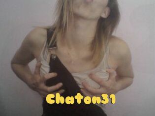 Chaton31