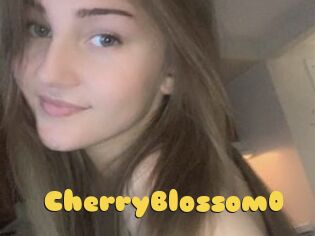 CherryBlossom0
