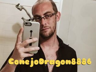 ConejoDragon8886