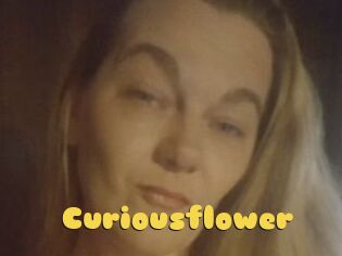 Curiousflower