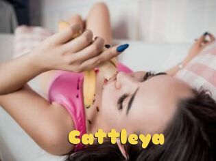 _Cattleya
